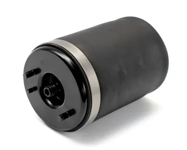 ABSEL BW345198L Пневмобаллон задний левый