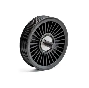 ABSEL CH202004 Ролик обводной