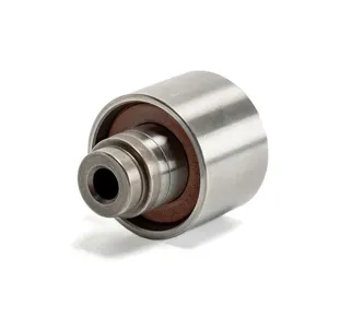 ABSEL WG051003 Ролик обводной ремня ГРМ