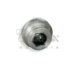 ASAM 30316 Шкив генератора Dacia Logan , Renault Laguna Megane Scenic 1.5DCi 01>