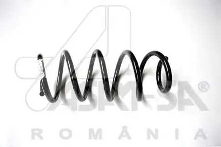 ASAM 32033 Пружина подвески Renault Duster 12- задняя