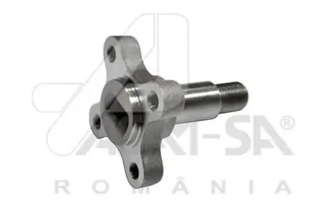 ASAM 32035 Ступица заднего колеса 4X2