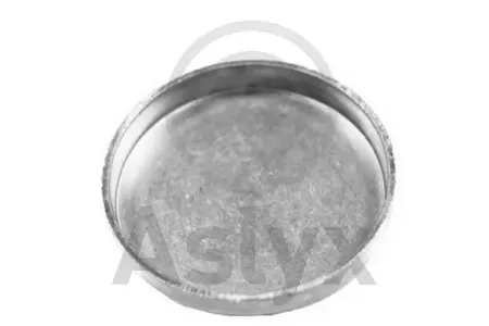 ASLYX AS200824 Заглушка блока цилиндров