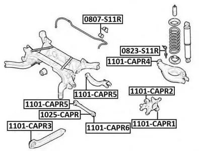 ASVA 1101CAPR3 Рычаг подвески