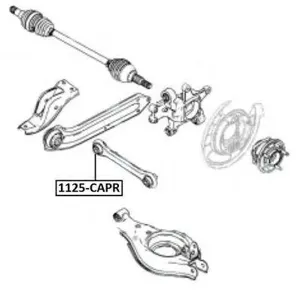 ASVA 1125CAPR Рычаг GM Antara Captiva 06- задн. поперечный