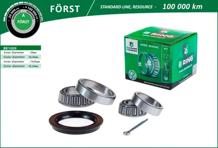 B-RING BK1009 Подшипник ступицы (задн. компл.) [29x50.3x14.219.1x45.2x15.5]