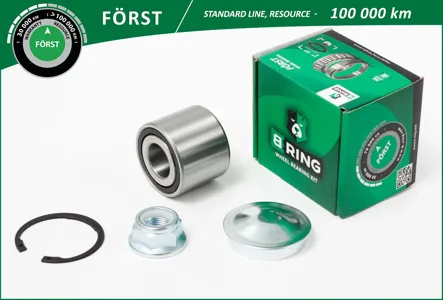 B-RING BK1966 Подшипник ступицы (задн. компл.) [25x55x43]
