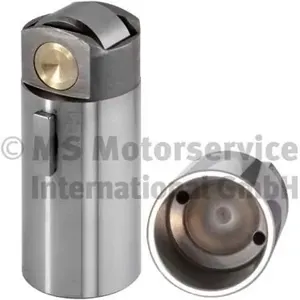 BF 20100350062 Толкатель