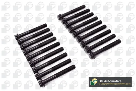 BGA BK0170 Комплект болтов ГБЦ