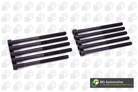BGA BK2376 Комплект болтов  ГБЦ SsangYong Kyron 2.0d (d20dt) 06