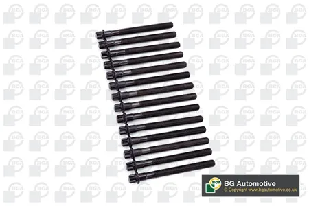 BGA BK4327 Комплект болтов  ГБЦ BMW e36e4639 2,0-3,0 (m52m54) m10x1.5x110, qty: 14