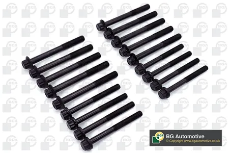 BGA BK4351 Комплект болтов  ГБЦ maz mpv 2.5tdi (wlt) 96- (18)