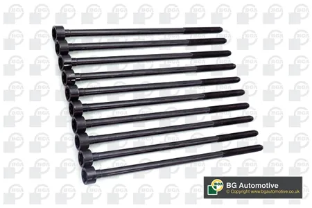 BGA BK5385 Комплект болтов  ГБЦ Fiat Brava marea 1.8alfa 145-166 1.6-2.0 16v 95