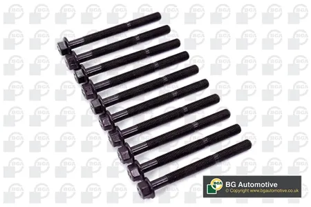 BGA BK6327 Комплект болтов  ГБЦ Fiat Doblo,Panda,Palio Punto,Uno 1,01,11,2
