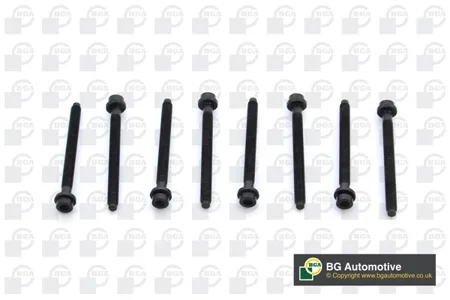 BGA BK7900 Комплект болтов  ГБЦ Seat Ibiza cfwa 2010