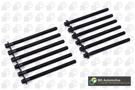 BGA BK9600 Комплект болтов  ГБЦ opl Astra j 1.4 (a 14 xer) 09->