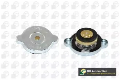 BGA CC3047 Крышка расширительного бачка