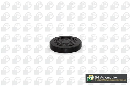BGA PL4601 Заглушка оси коромысла Renault Clio Espace Laguna Megane dac Logan 1.4-2.0 99- (52.5x57x10.6)