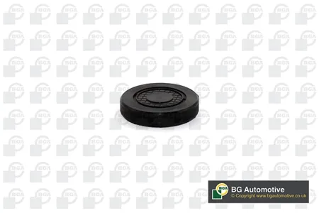 BGA PL4602 Заглушка оси коромысла Renault Clio Espace Laguna Megane dac Logan 1.4-2.0 99- (38.5x43.3x8.8)