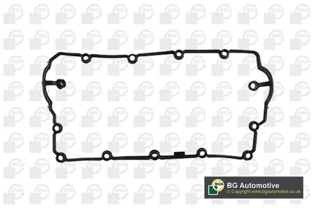 BGA RC5512 Прокладка кк vw Jetta Sharan TranSporter 1.92.0tdi 06