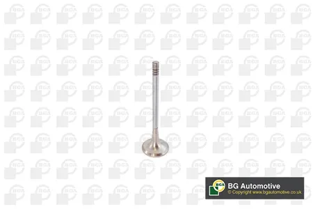 BGA V142050 Клапан выпускной 