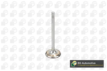 BGA V164520 Клапан 34.5x6.0x99.1 in vw Polo 1.2 02
