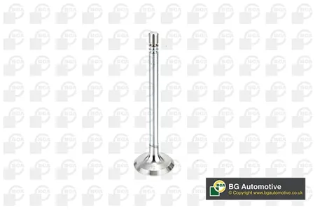 BGA V164660 Клапан 31.7x7x110.5 in Kia Sorento 2.5crdi 16v 03