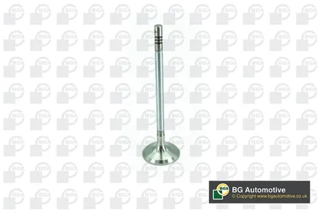 BGA V200074 Впускной клапан