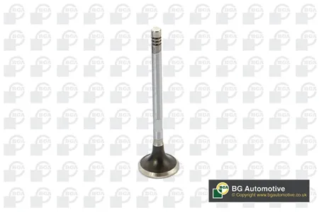 BGA V424832 Клапан 25.20x5.92x96.35 ex Citroen c5c6 2.73.0 hdi 08