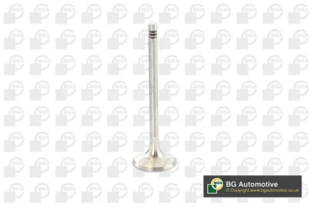 BGA V960222 КЛАПАН 30.2x5.97x102.2 EX Audi 3.23.6 FSI 24V 03-
