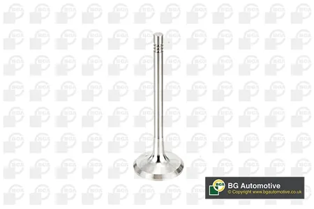 BGA V991760 Клапан выпускной Audi . VW 1.6i 00-
