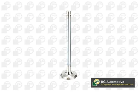 BGA V998717 Клапан 24.5x6x104.2 ex citpgt 1.6i 16v 00