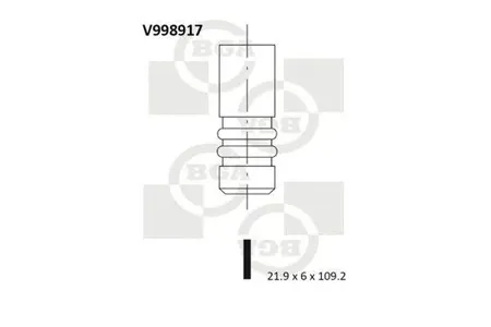 BGA V998917 Клапан 21.9x6x109.2 ex Fiat 1.3d (mjt) 03