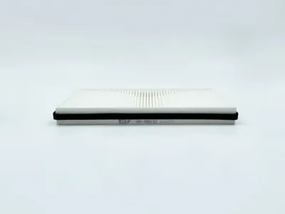 BIG FILTER GB98032 Фильтр салона