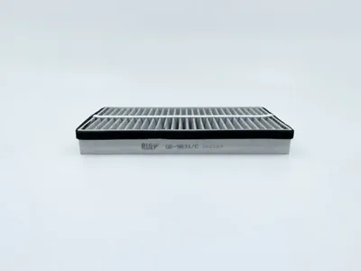 BIG FILTER GB9831C Фильтр салона [угольный]