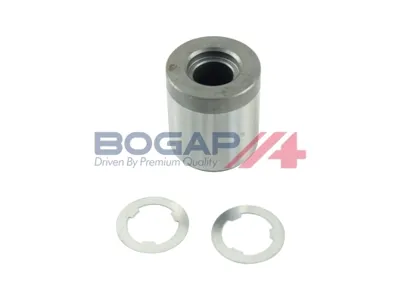 BOGAP A1119101 Сальник