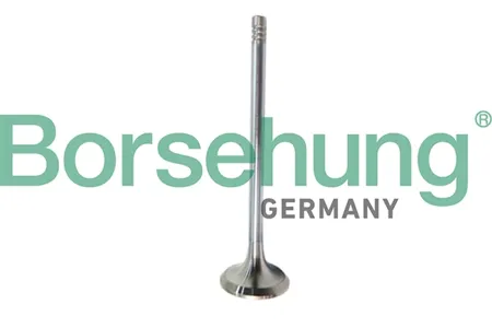 BORSEHUNG B10321 Клапан двигателя