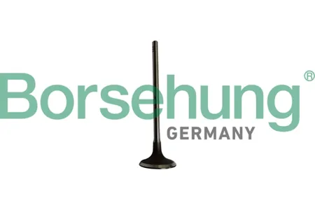 BORSEHUNG B10334 Клапан впускной