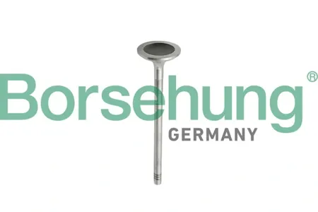 BORSEHUNG B10343 Комплект поршневых колец