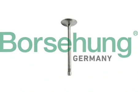 BORSEHUNG B10344 Комплект поршневых колец