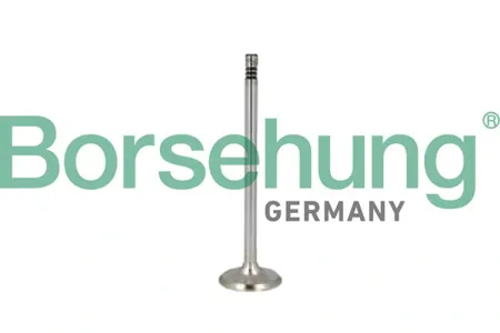 BORSEHUNG B10346 Комплект поршневых колец
