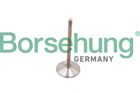 BORSEHUNG B10348 Комплект поршневых колец