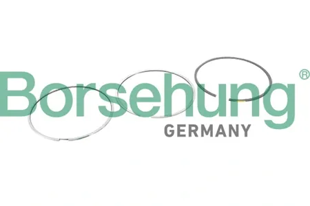 BORSEHUNG B10364 Комплект поршневых колец