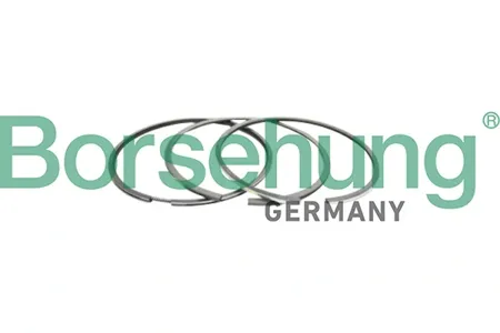 BORSEHUNG B10366 Комплект поршневых колец