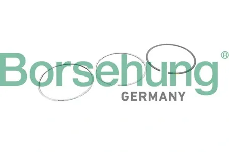 BORSEHUNG B10368 Комплект поршневых колец
