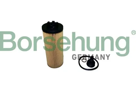 BORSEHUNG B10437 Масляный фильр