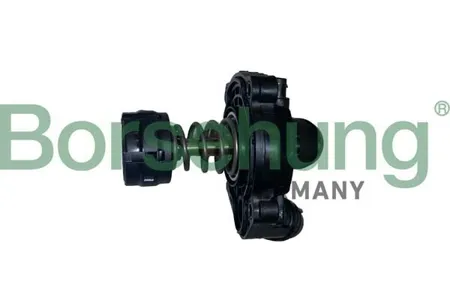 BORSEHUNG B10554 Термостат BMW 2(F45)