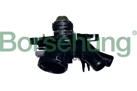 BORSEHUNG B10557 Термостат в сборе