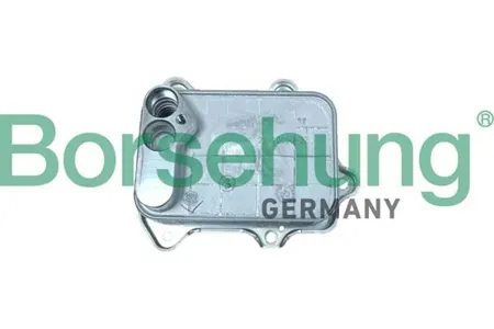 BORSEHUNG B10883 Радиатор масляный