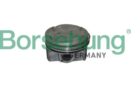 BORSEHUNG B11135 Поршень в сборе